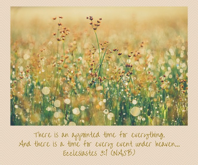 Ecclesiastes 3-1 (NASB)