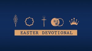 EasterDevoGFX