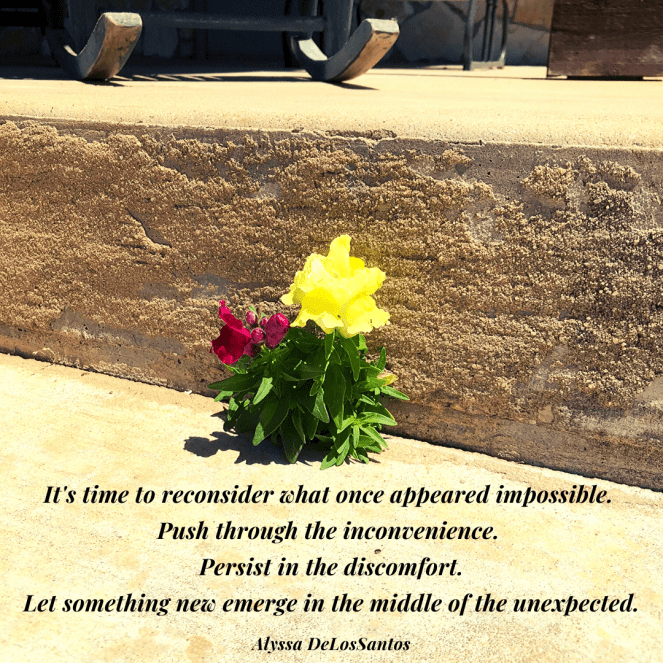 Moment of Truth Monday